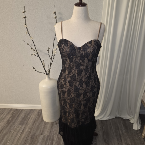 JLUXLABEL Black Strapless Lace Peplum Dress - Picture 11 of 11